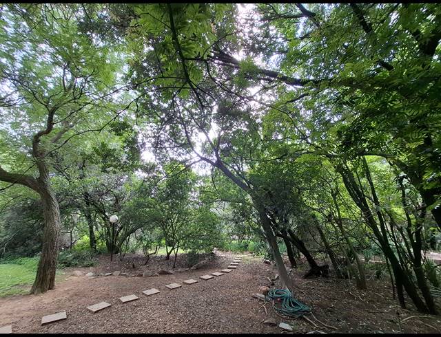 1,526M² VACANT LAND FOR SALE IN BRYANSTON EAST
